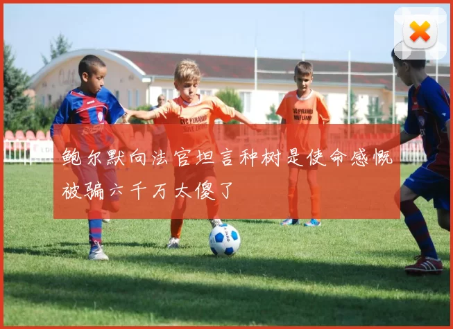 鲍尔默向法官坦言种树是使命感慨被骗六千万太傻了