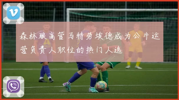 森林狼高管马特劳埃德成为公牛运营负责人职位的热门人选