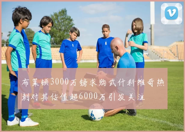 布莱顿3000万镑求购武什科维奇热刺对其估值超6000万引发关注